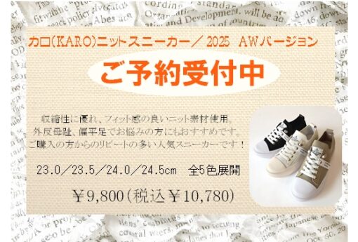 累計販売数100足超！カロ（KARO）ニットスニーカー秋色入荷です☆ 画像